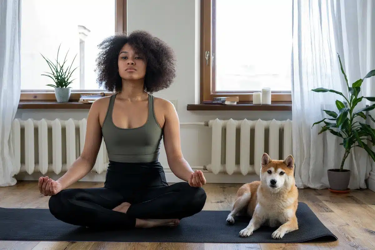 méditation chien