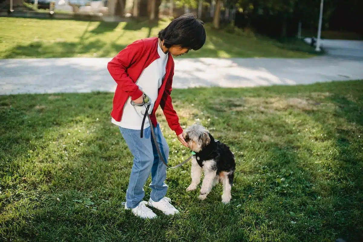 enfant chien