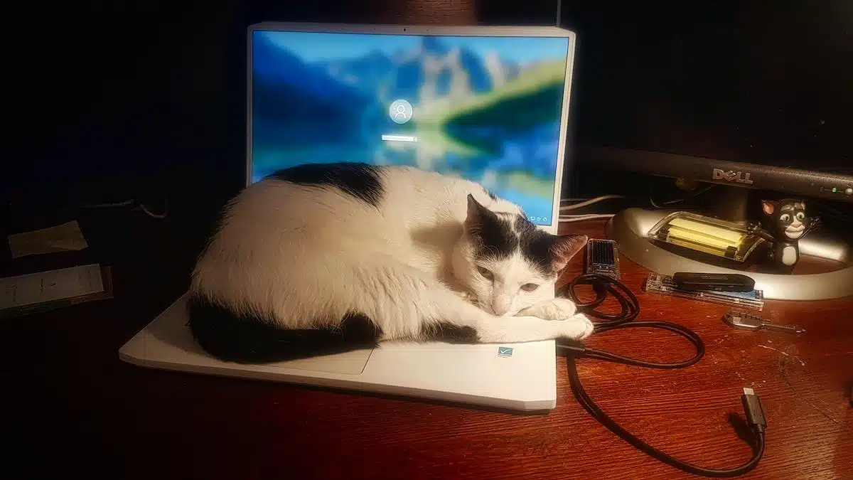 technologie animaux