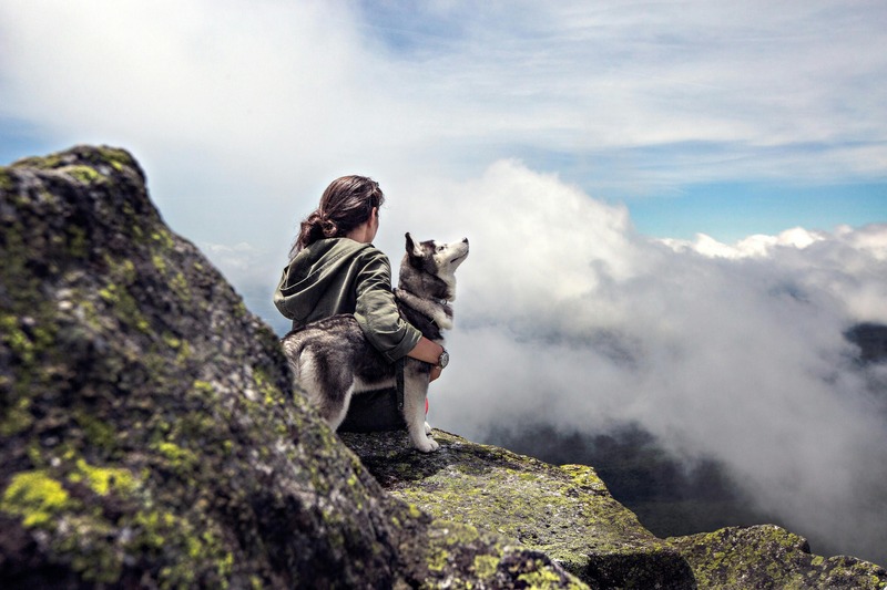 husky avec son maitre