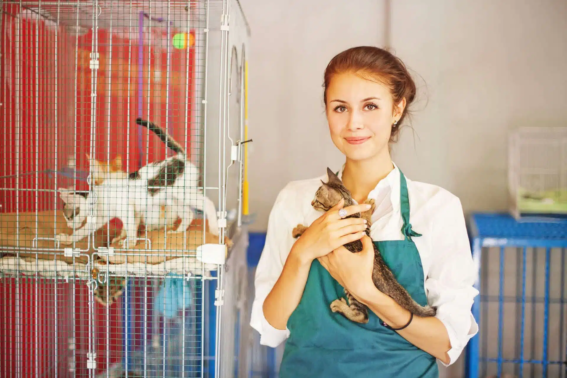 Personne qui s’occupe des animaux 